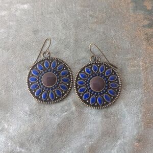 Blue and Brown Dangle Earrings